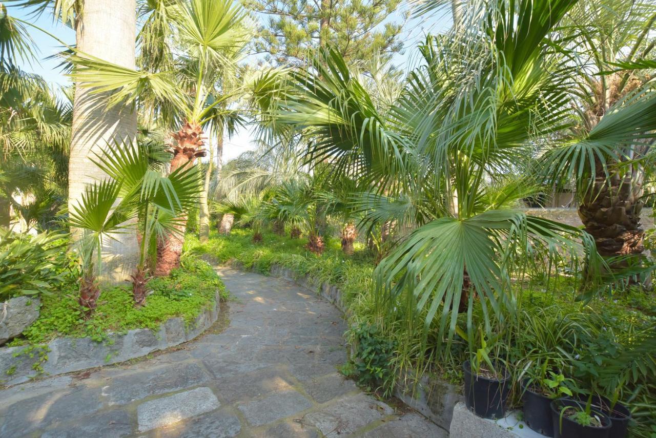 B&B Villa Regine Forio di Ischia Exterior foto